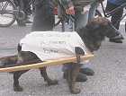 11.M�rz 2006: STOPPT GENFOOD - Demonstration