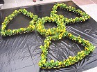 26.April 2006: Mahnwache - 20 Jahre Tschernobyl